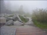 TATRY 2010  