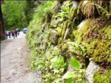 TATRY 2010  