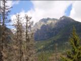 TATRY 2010  