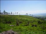 TATRY 2010  