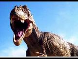 Tyranosaurus REX  