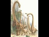 barosaurus  