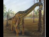 Brachiosaurus  