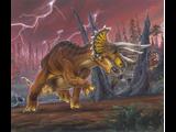 triceratops  