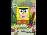 Sponge  