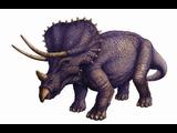 Triceratops  