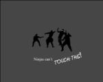 Ninjas cant touch you if...  
