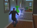 The Sims2  