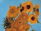 Vincent Van Gogh  
