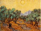 Vincent Van Gogh  