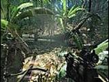 Crysis  