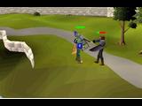 RUNESCAPE  