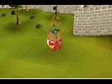 RUNESCAPE  