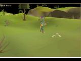 RUNESCAPE  