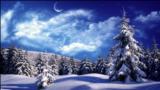 Winter Wallpapers  