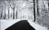 Winter Wallpapers  