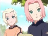 Sakura & Ino  