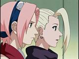 Sakura & Ino  