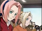 Sakura & Ino  