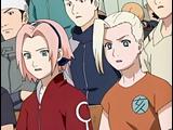 Sakura & Ino  