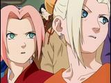 Sakura & Ino  