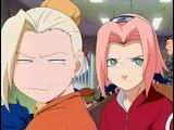 Sakura & Ino  