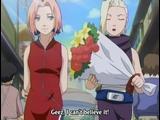 Sakura & Ino  