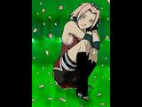 Sakura Haruno  