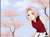 sakura  